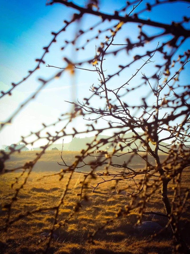 November landscape