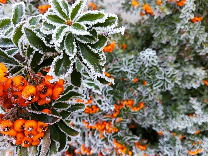 winter
