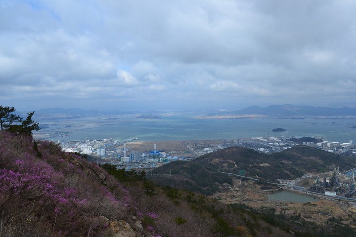 영취산이미지