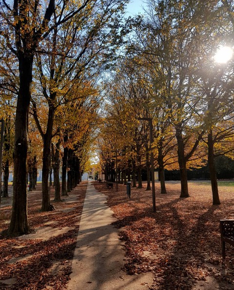 Autumn colours