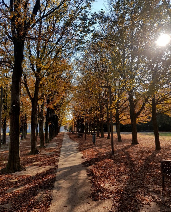 Autumn colours