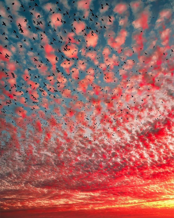 Sky