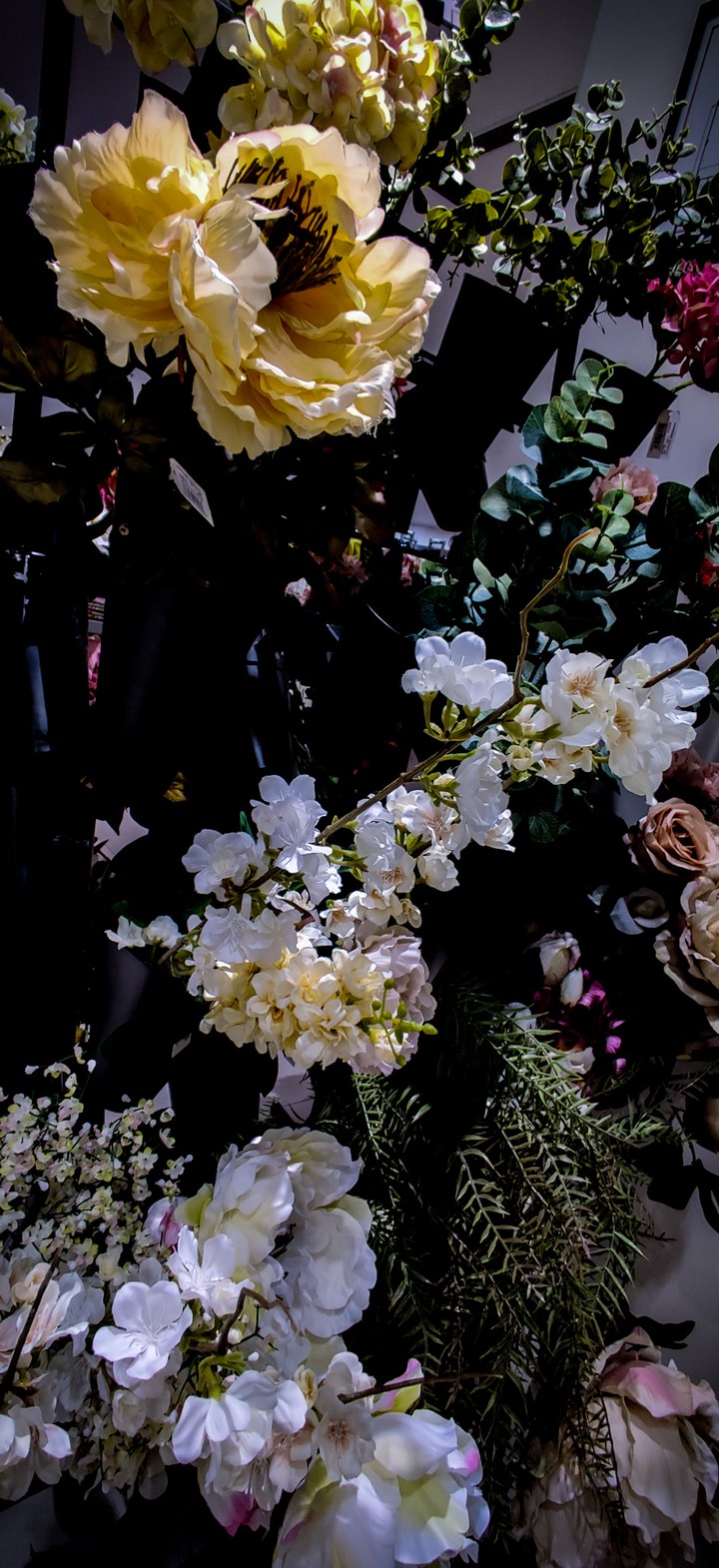 flowers