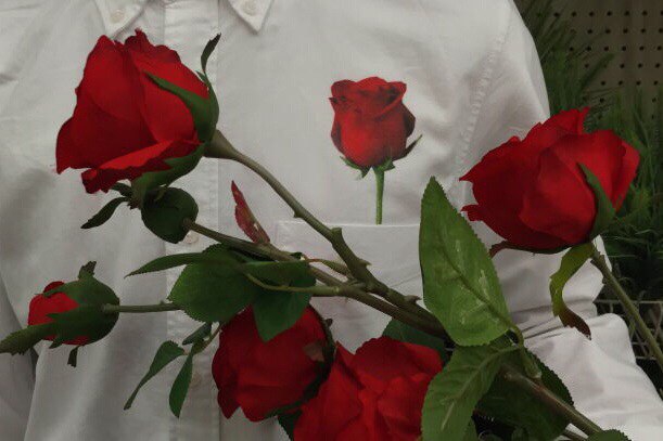 Roses