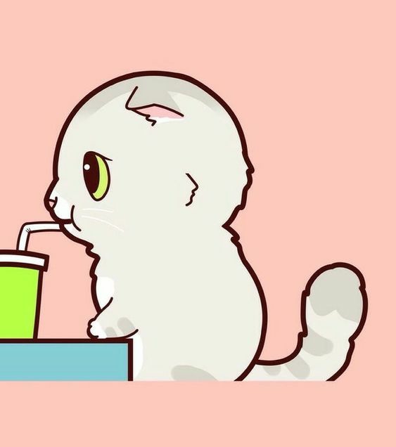 주스