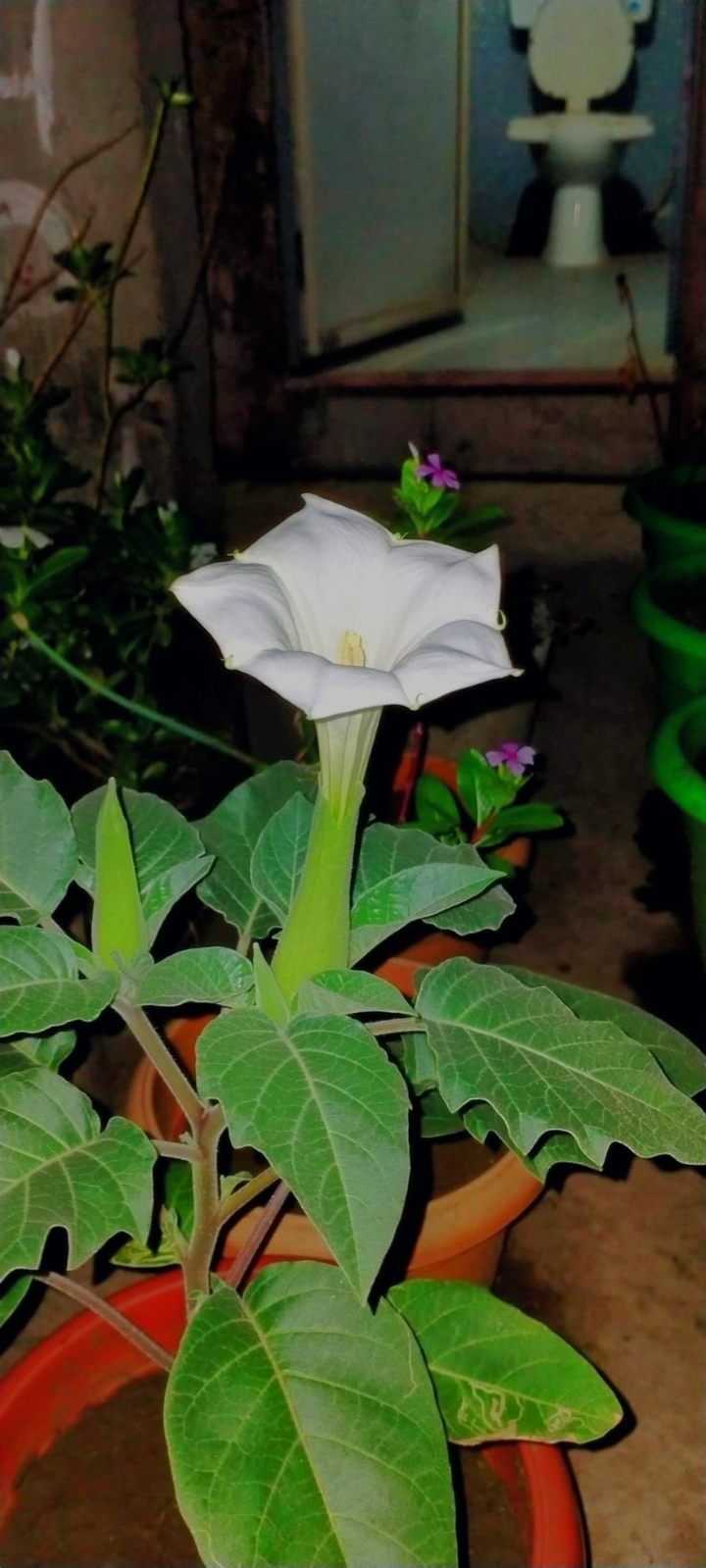 .