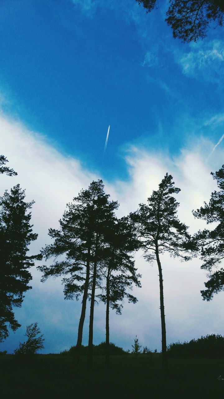 sky