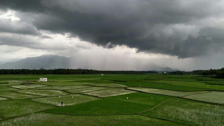 Agricultural land
