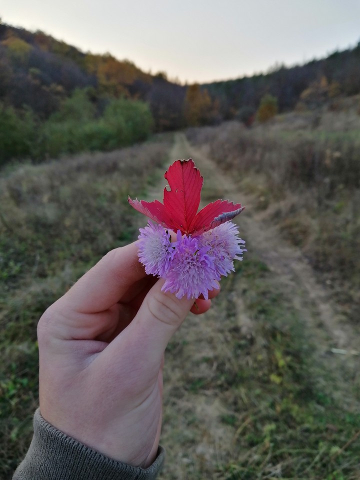 осенние краски