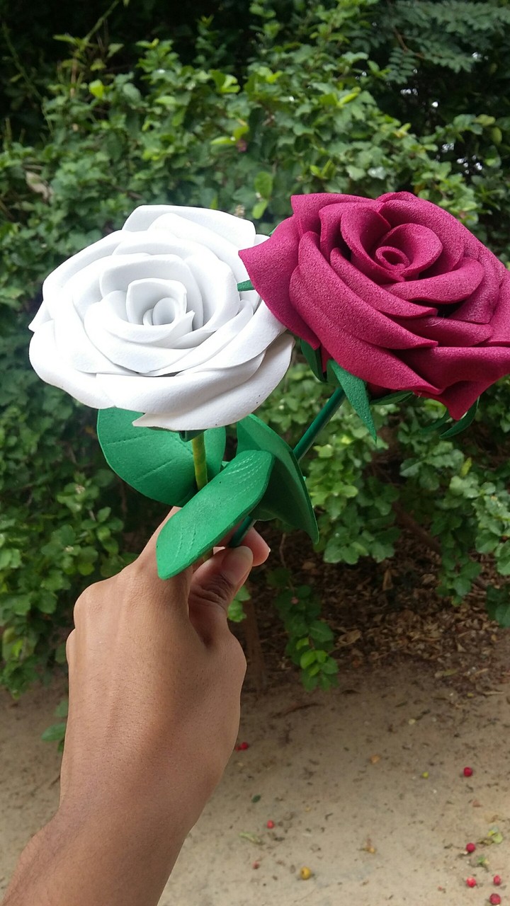 ROSAS PARA VOCE