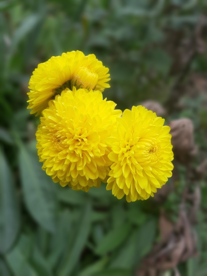 Sunshine on a gloomy day