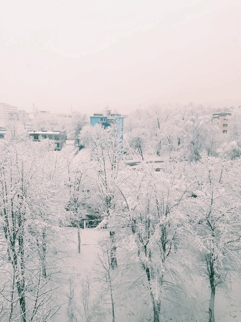 Winter 2017
