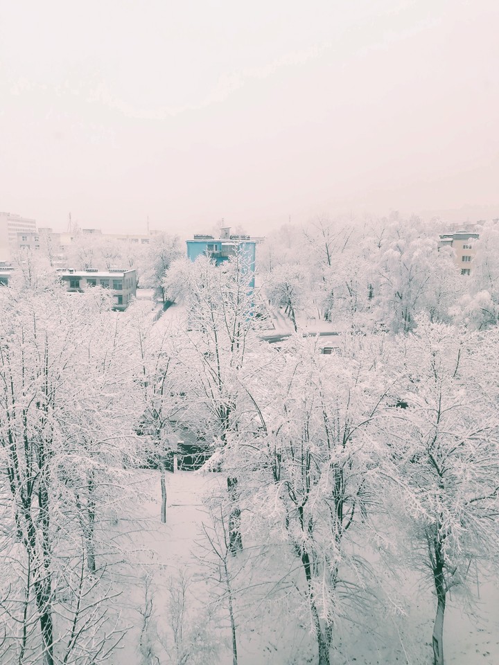 Winter 2017