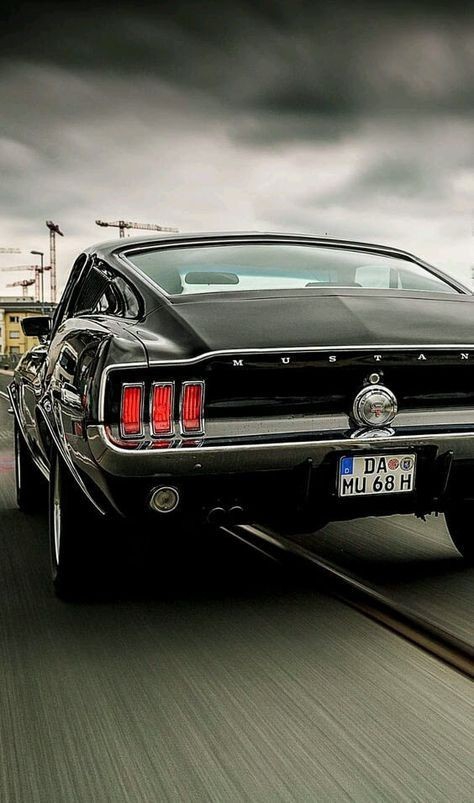 mustang