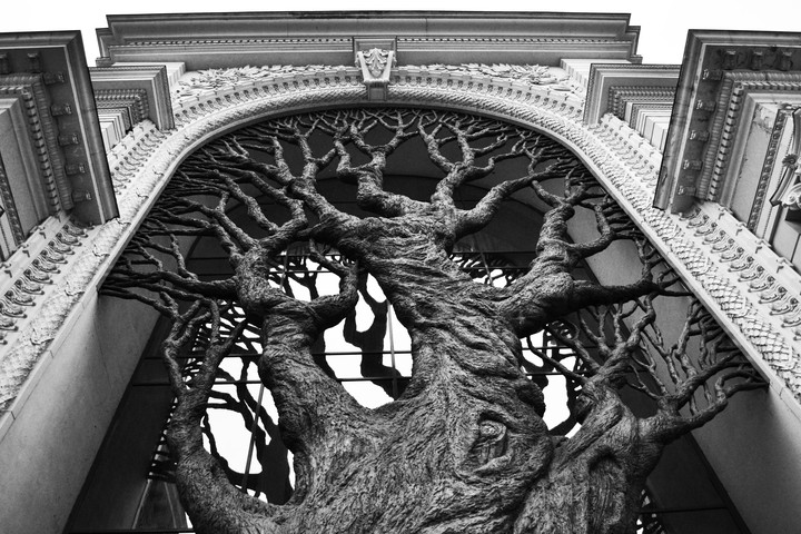house- tree