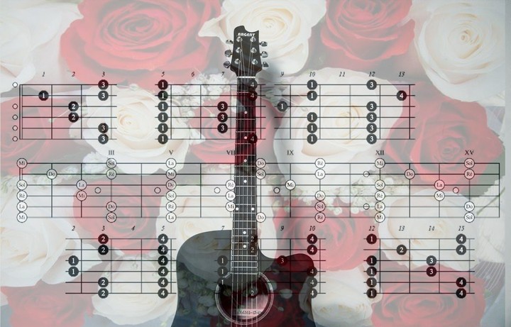 Music is my life