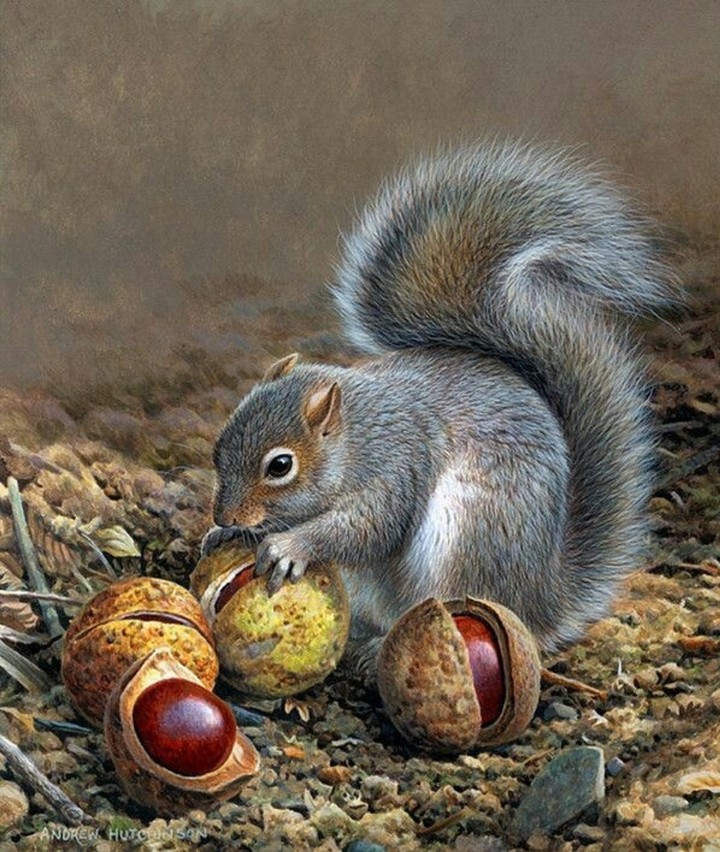 Chestnuts & squirrel