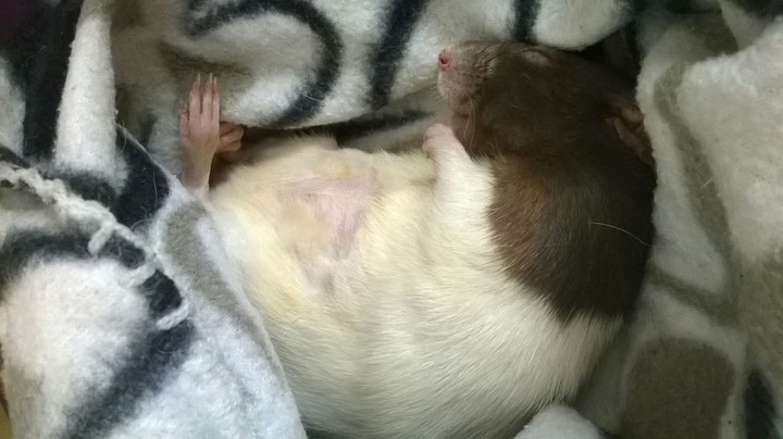 Sleeping time