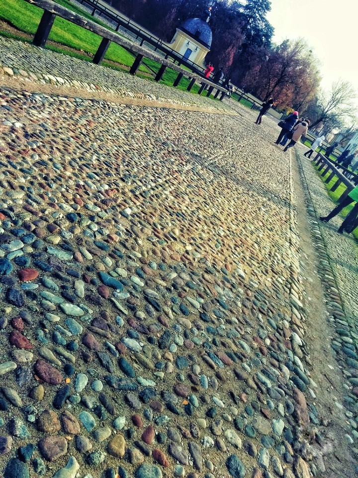 Street