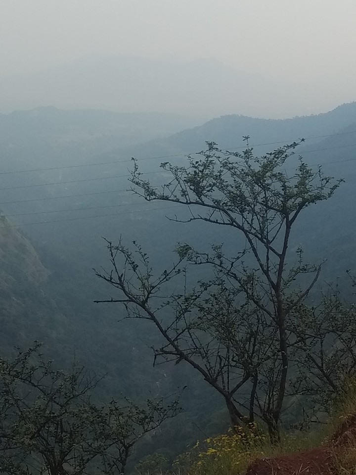Nature