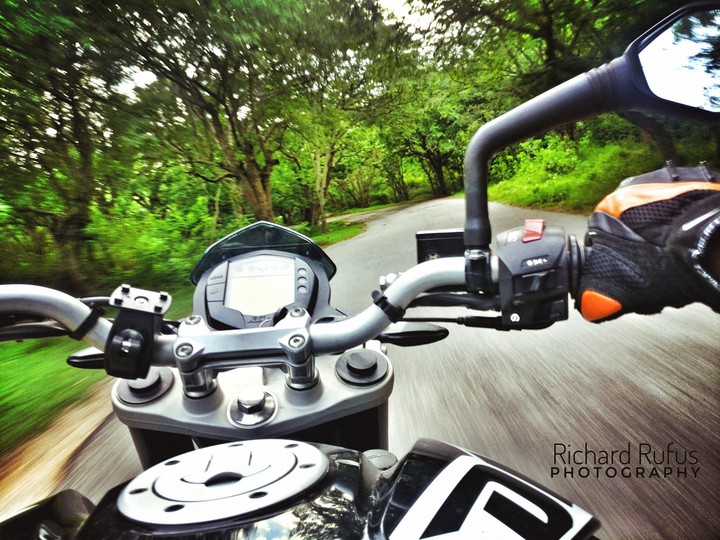 KTM Duke Bike in the forest early in the morning