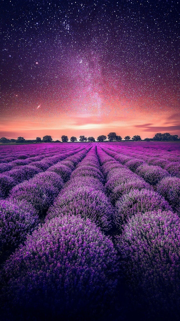 прп