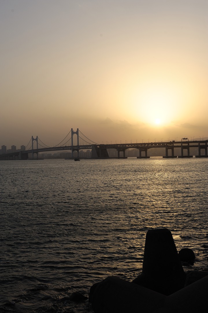 Bridge