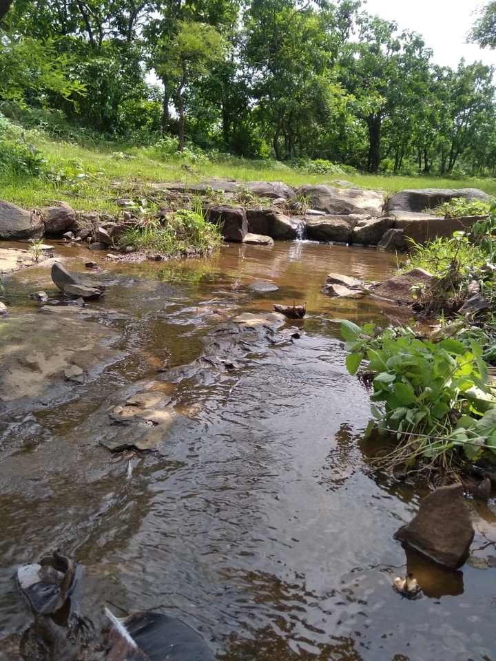 Nature @@@@@@@@@