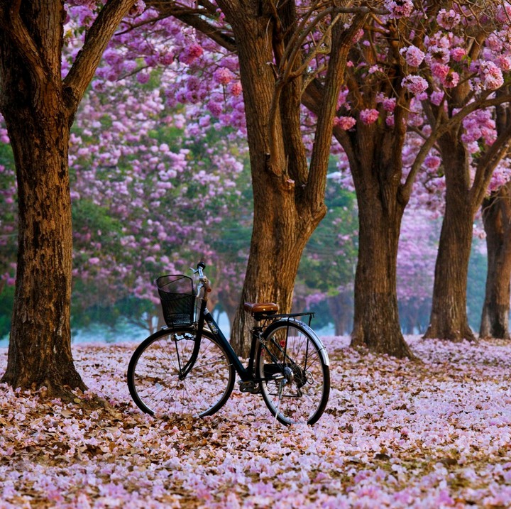 lonely