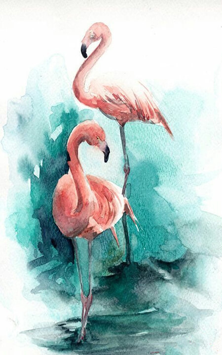Flamingos