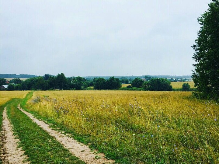 Field