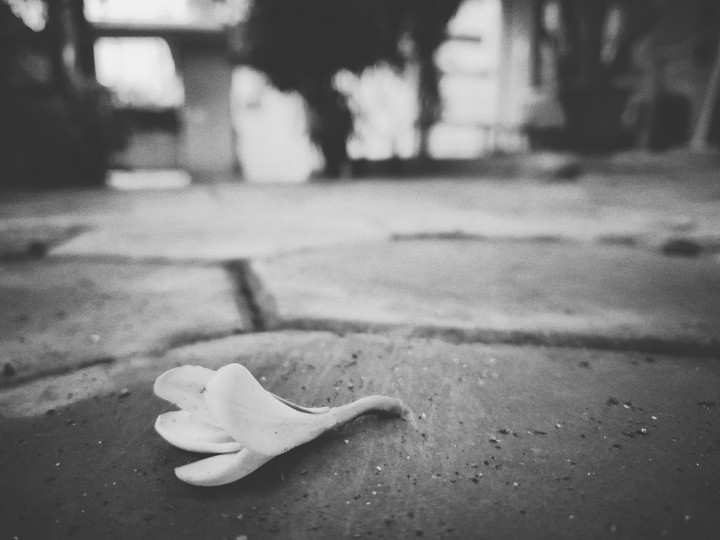 Memories