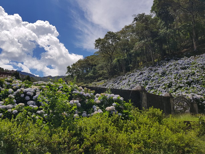 natureza no rio de janeiro