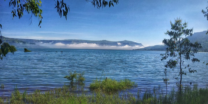 the nature