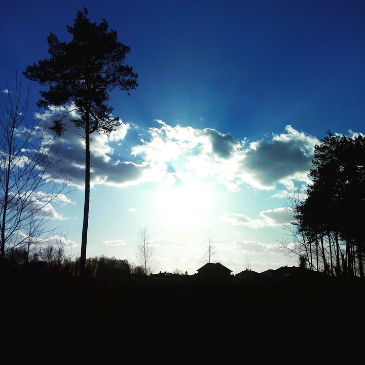 Spring Sunset