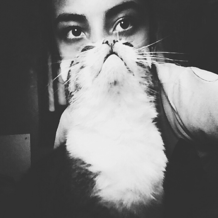 Tumblr ❤