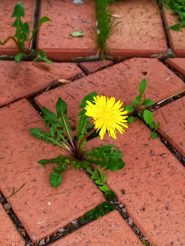 ??