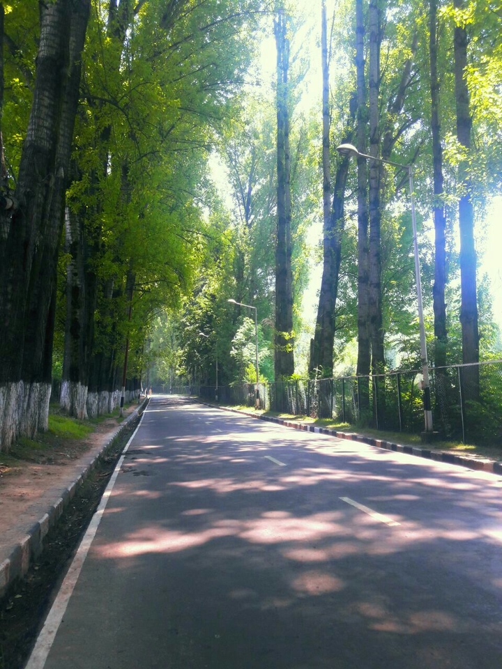 #road#pathwayTo#parimahal