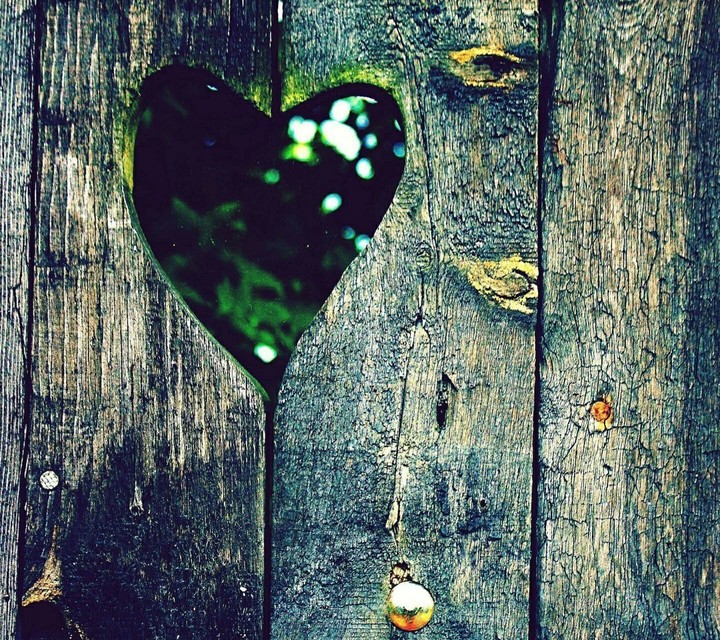 love