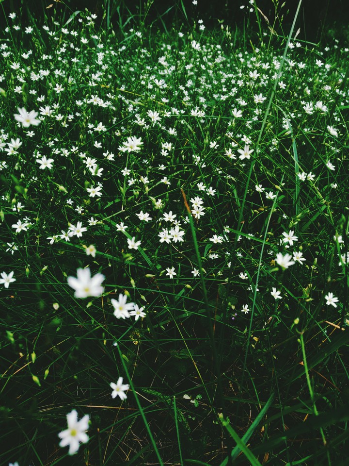 Summer