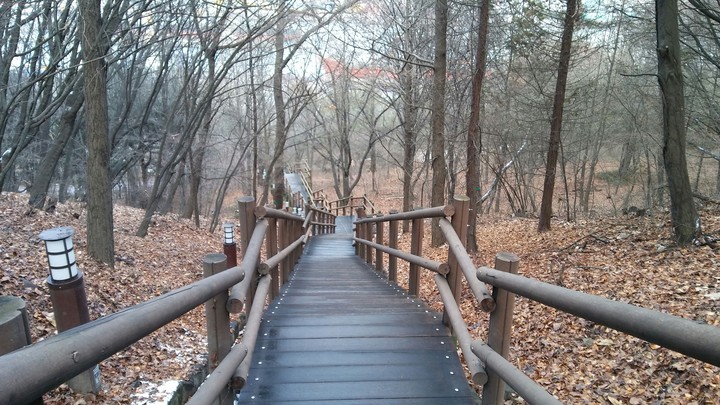 인천월미산 숲계단