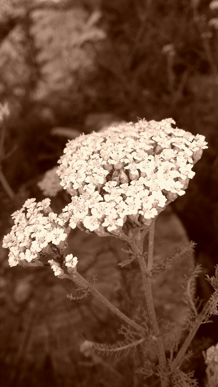 August