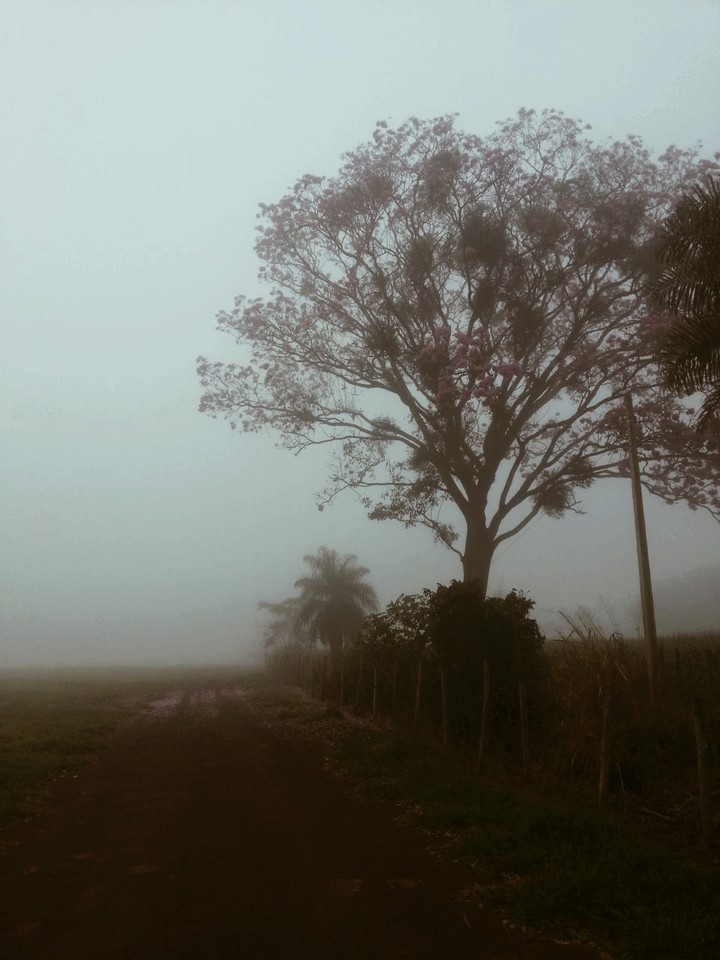 Um encontro a dois