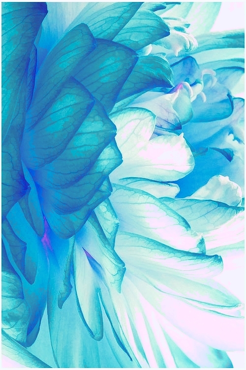 Glowing Serenity