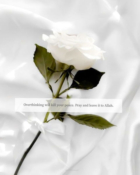 floribunda, Allah háttérképek