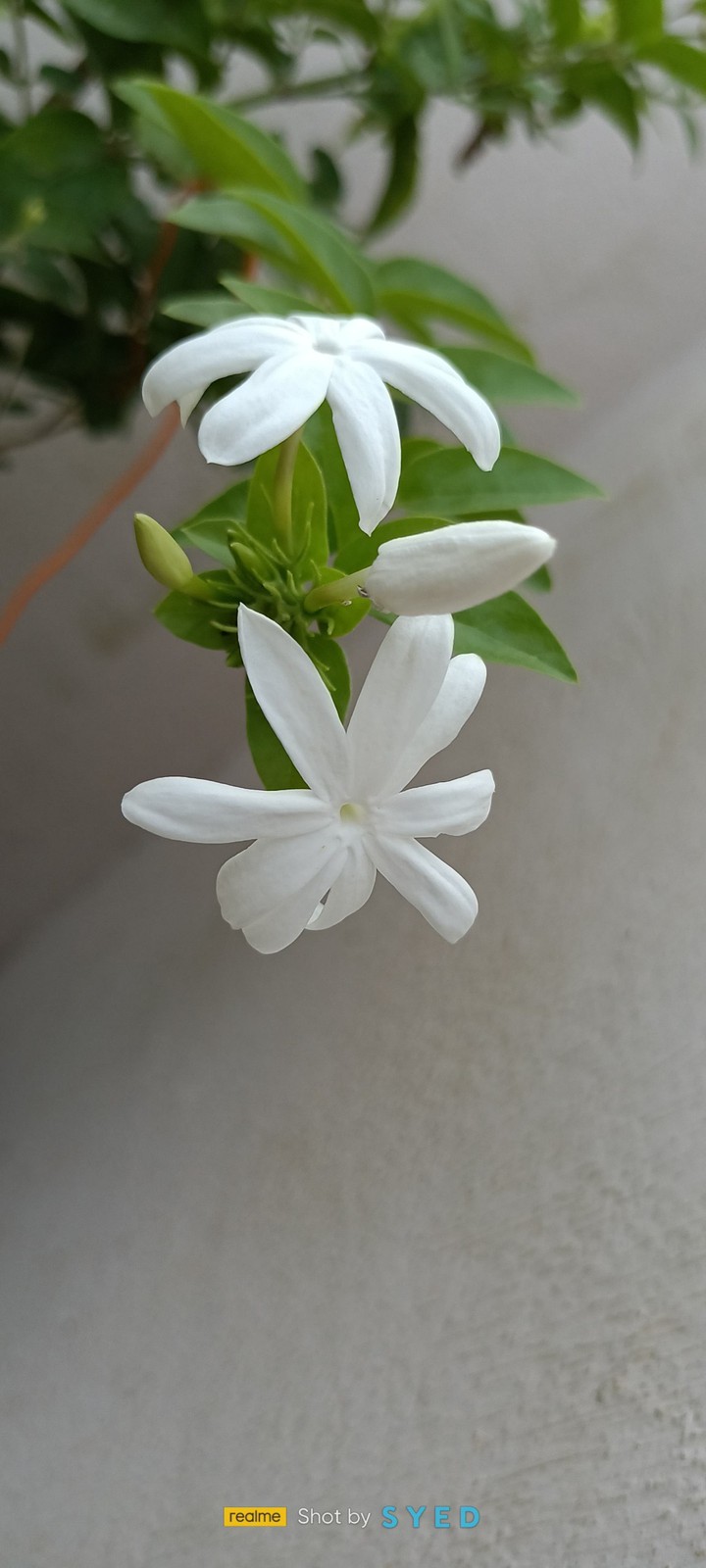 beautiful nature