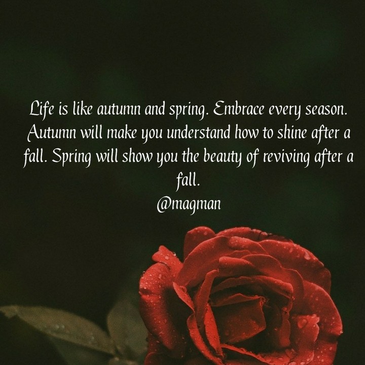 autumn and spring