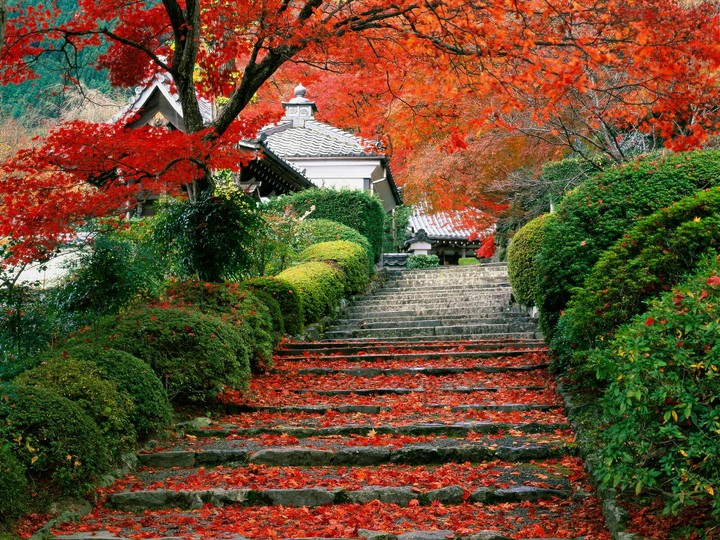 beautiful scene of my home.