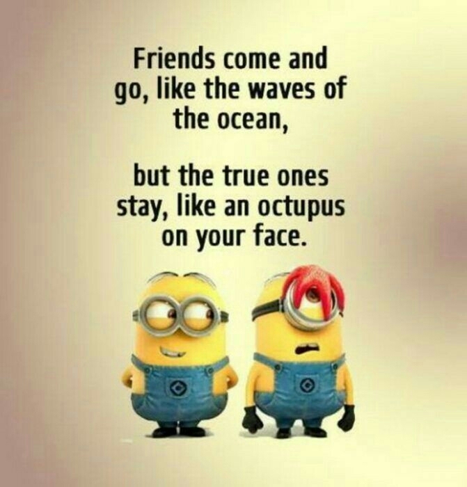Like My Two Besties