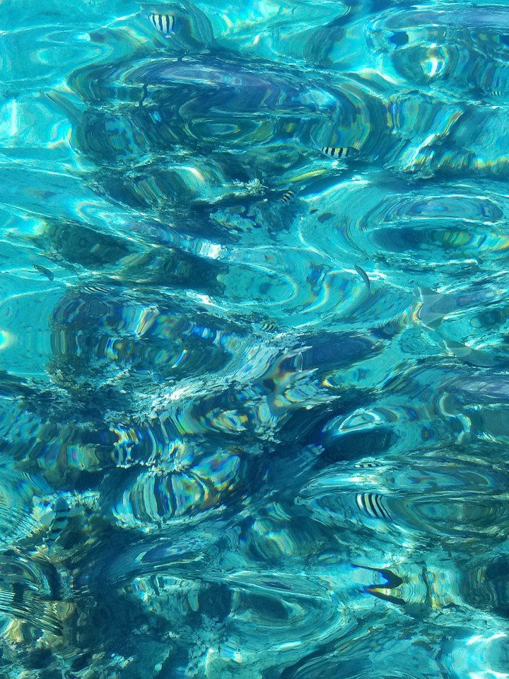 Negril Reef